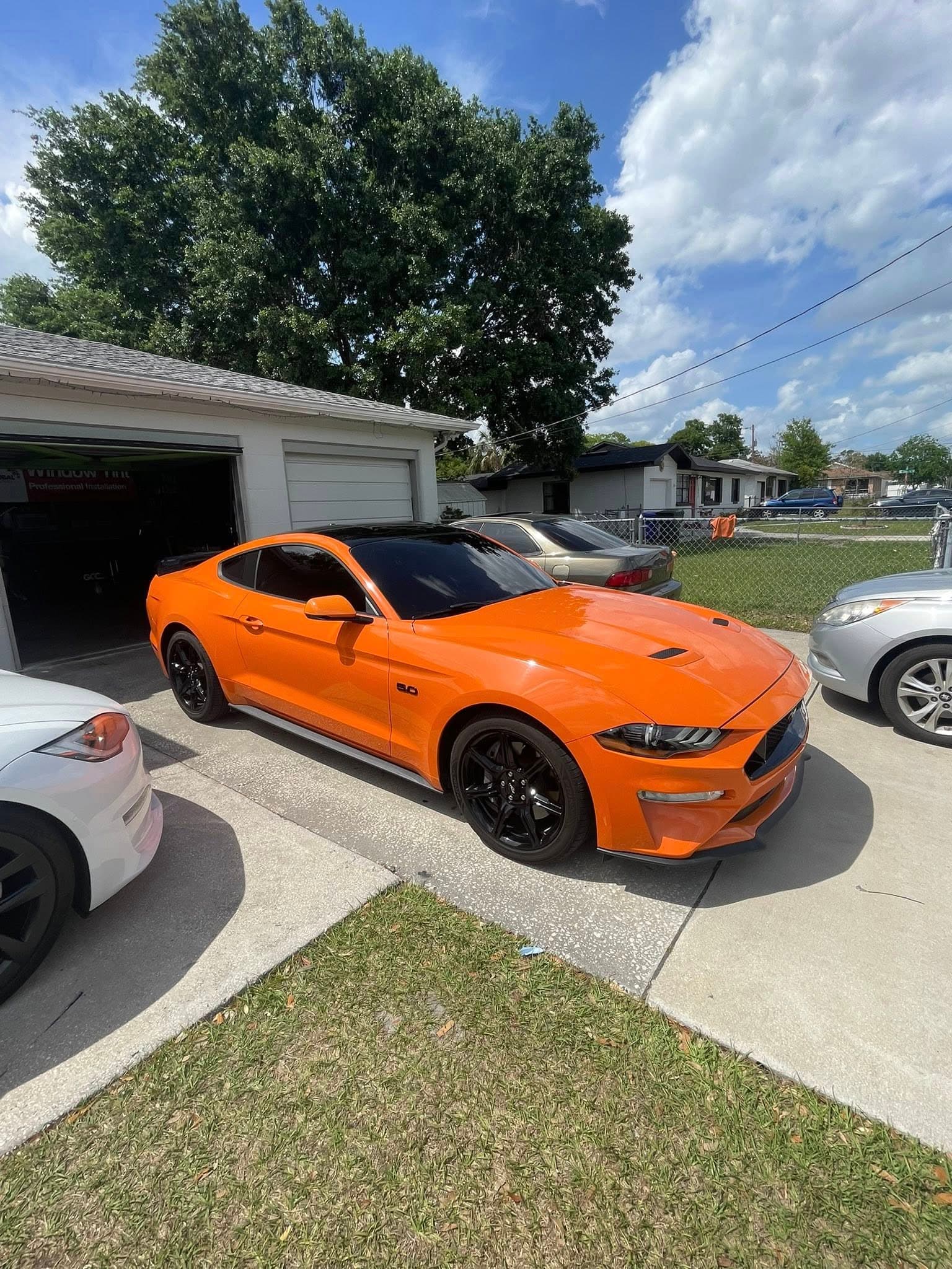 Window tint project